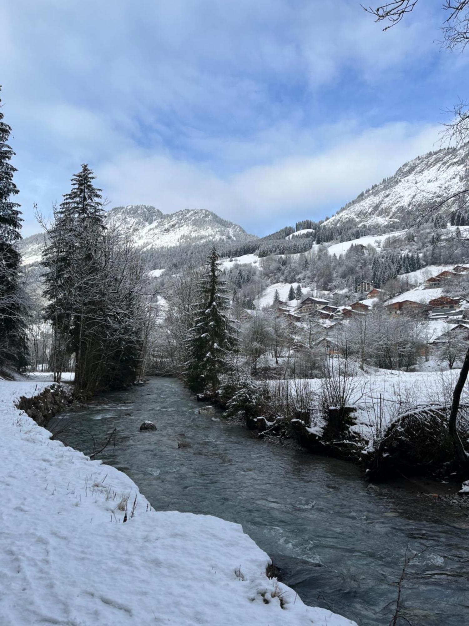 Cosy 2 Pieces Proche Chatel Abondance Buitenkant foto